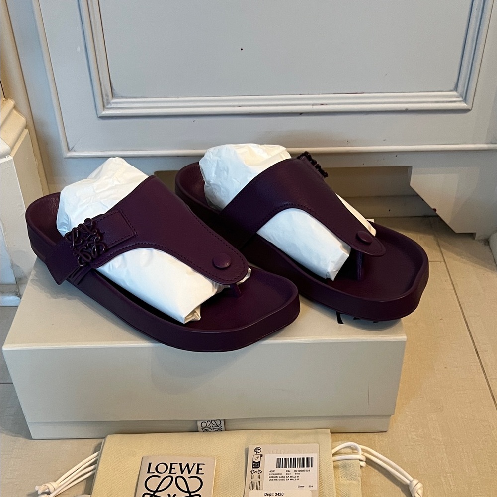 Loewe ease thong sandals